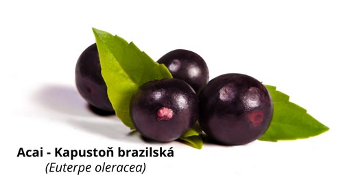 Acai